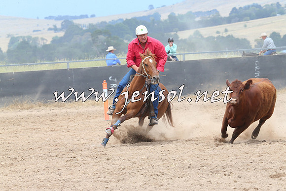 BraidwoodCampdraft2014_2761
