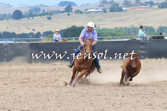 BraidwoodCampdraft2014_3008