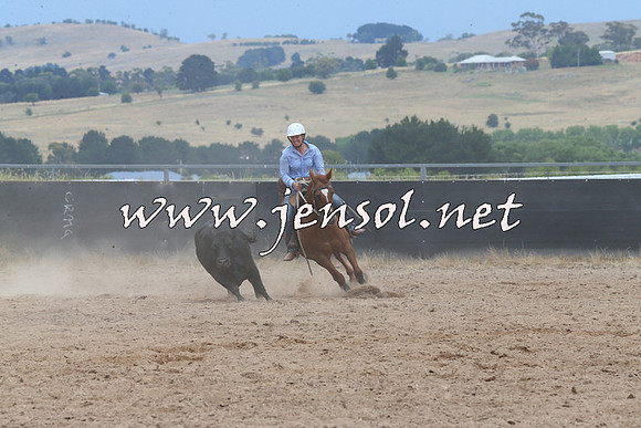 BraidwoodCampdraft2014_2731