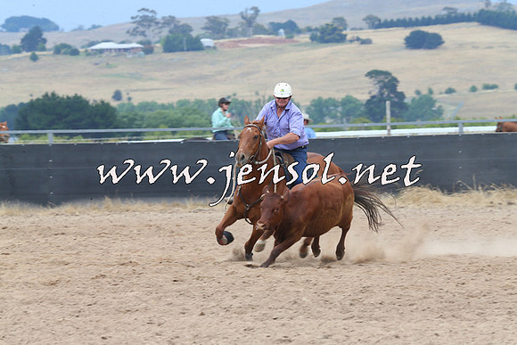 BraidwoodCampdraft2014_3007