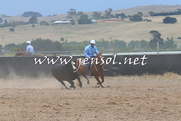 BraidwoodCampdraft2014_2746