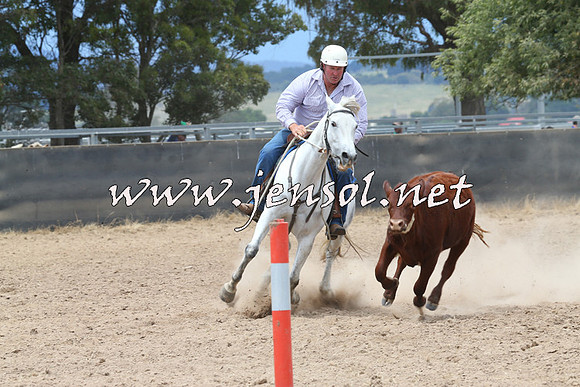 BraidwoodCampdraft2014_2807