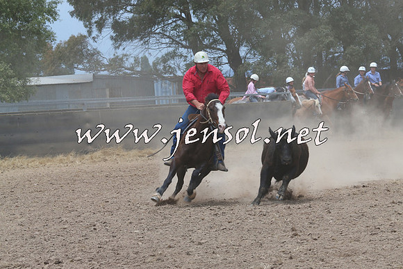 BraidwoodCampdraft2014_3069