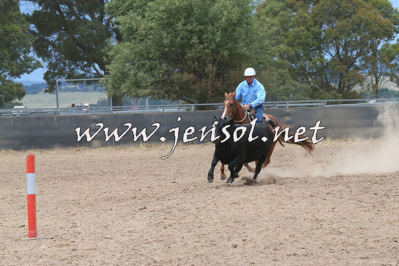 BraidwoodCampdraft2014_2753