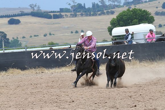 BraidwoodCampdraft2014_3046