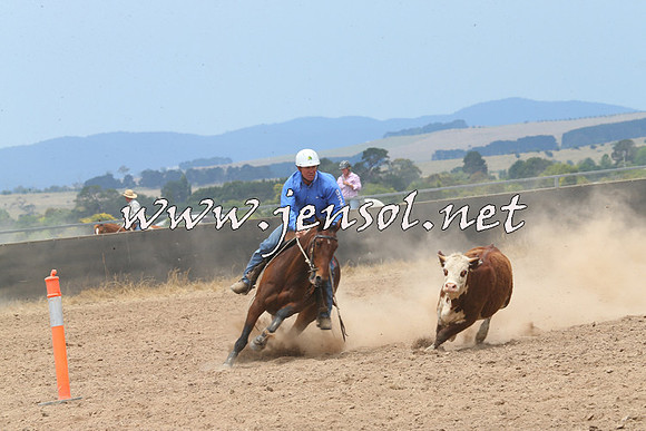 BraidwoodCampdraft2014_2949