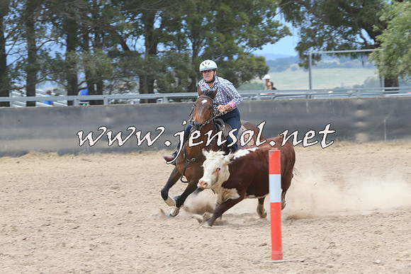 BraidwoodCampdraft2014_2775