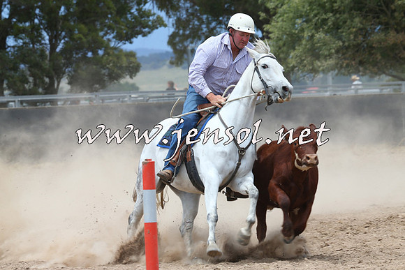 BraidwoodCampdraft2014_2812