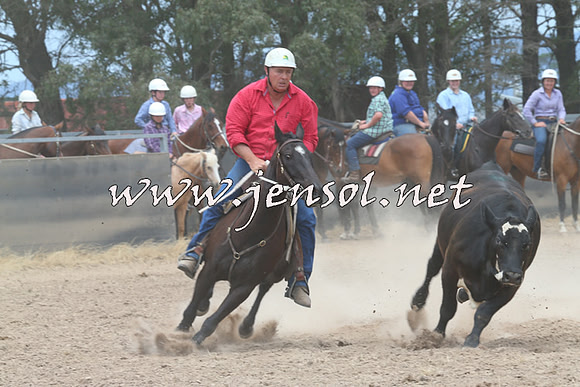 BraidwoodCampdraft2014_3040