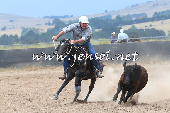BraidwoodCampdraft2014_2962