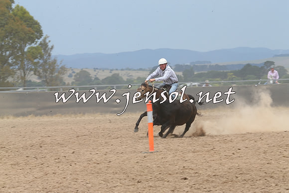 BraidwoodCampdraft2014_3026