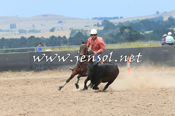BraidwoodCampdraft2014_2980