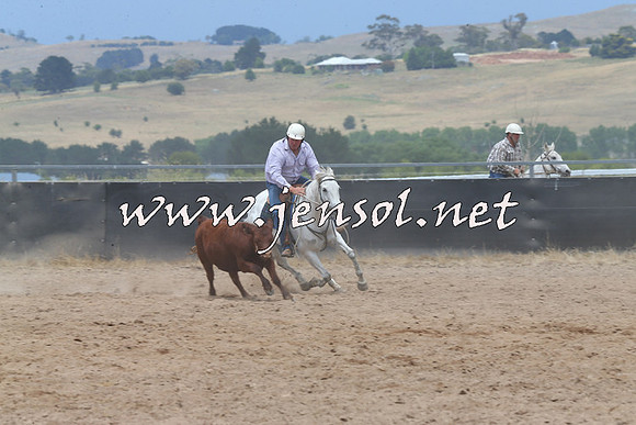 BraidwoodCampdraft2014_2802