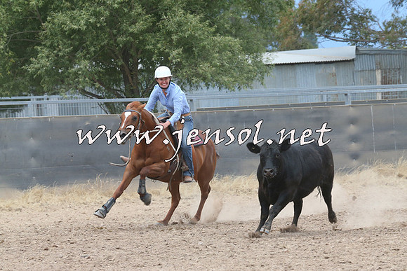 BraidwoodCampdraft2014_2737