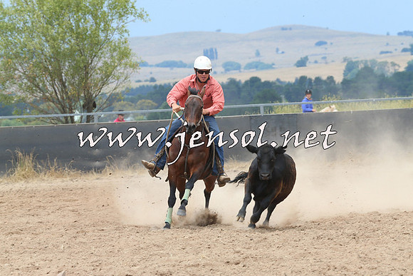 BraidwoodCampdraft2014_2986