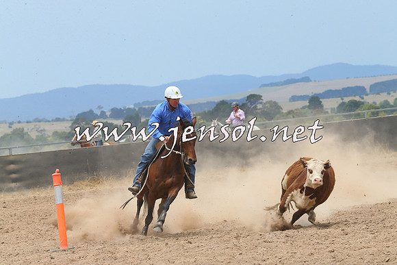 BraidwoodCampdraft2014_2947