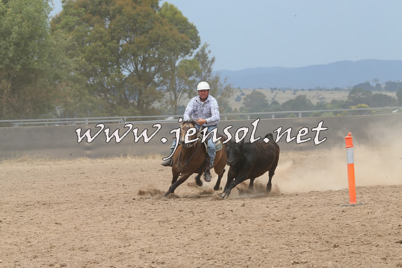 BraidwoodCampdraft2014_3029