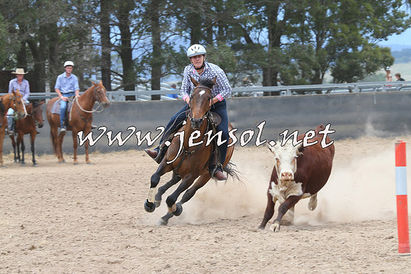 BraidwoodCampdraft2014_2772