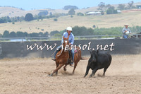 BraidwoodCampdraft2014_2729