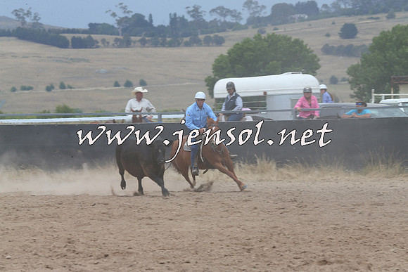 BraidwoodCampdraft2014_3060