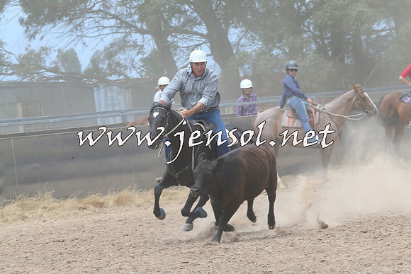 BraidwoodCampdraft2014_2977