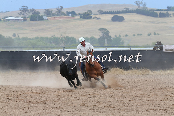BraidwoodCampdraft2014_2791
