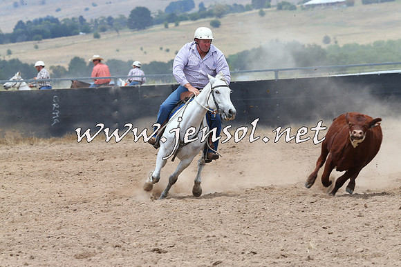 BraidwoodCampdraft2014_2794