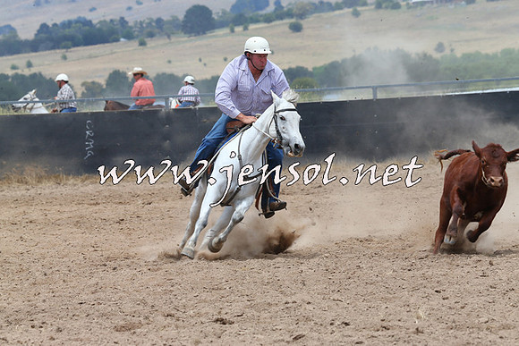 BraidwoodCampdraft2014_2795