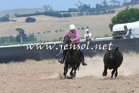 BraidwoodCampdraft2014_3044
