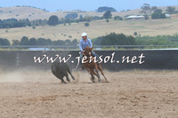 BraidwoodCampdraft2014_2730