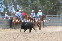BraidwoodCampdraft2014_2735