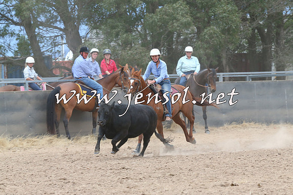 BraidwoodCampdraft2014_2735
