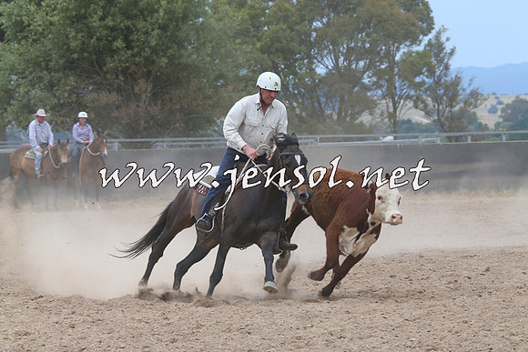 BraidwoodCampdraft2014_3001