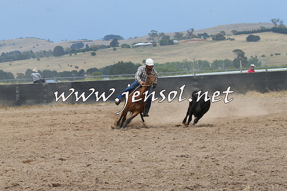 BraidwoodCampdraft2014_2757