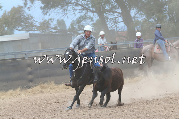 BraidwoodCampdraft2014_2973
