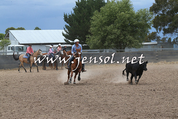BraidwoodCampdraft2014_2744