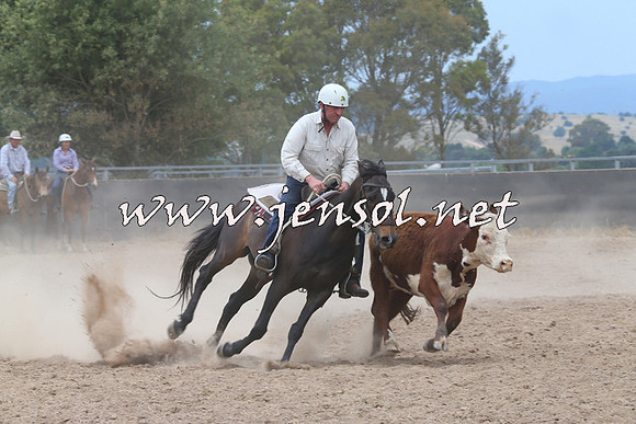 BraidwoodCampdraft2014_3004