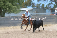 BraidwoodCampdraft2014_2742