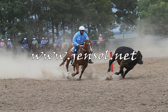 BraidwoodCampdraft2014_3065