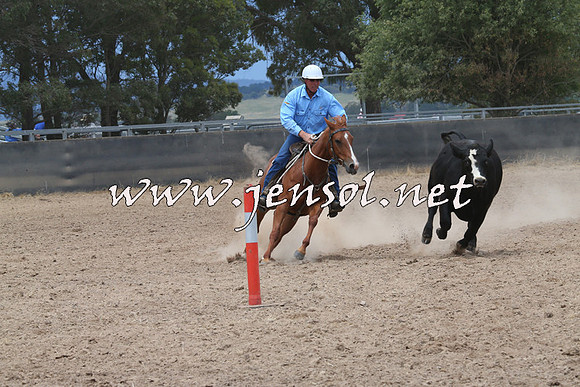 BraidwoodCampdraft2014_2749