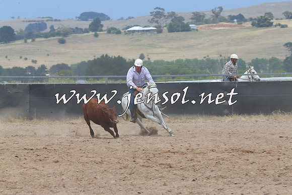 BraidwoodCampdraft2014_2801