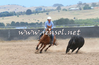 BraidwoodCampdraft2014_2728
