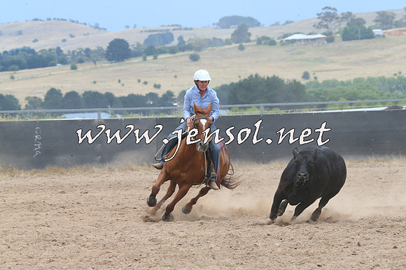 BraidwoodCampdraft2014_2728