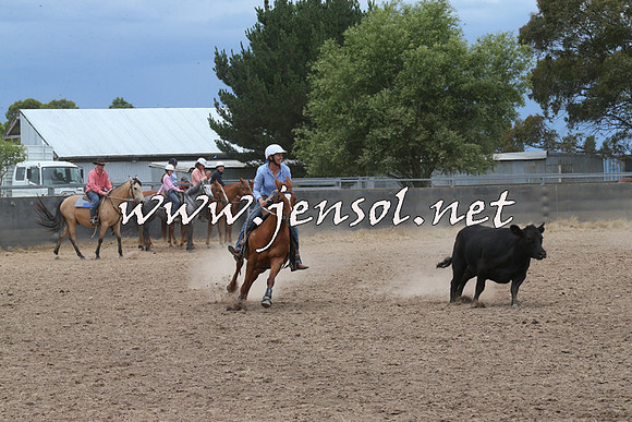 BraidwoodCampdraft2014_2743