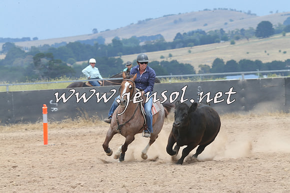 BraidwoodCampdraft2014_3013