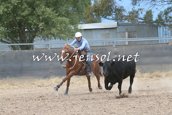 BraidwoodCampdraft2014_2739