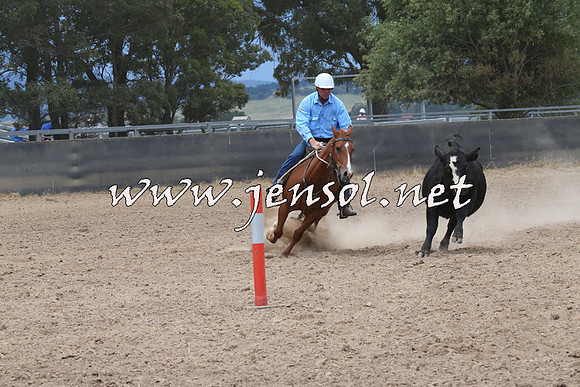 BraidwoodCampdraft2014_2748