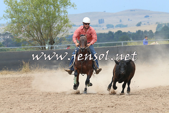 BraidwoodCampdraft2014_2982