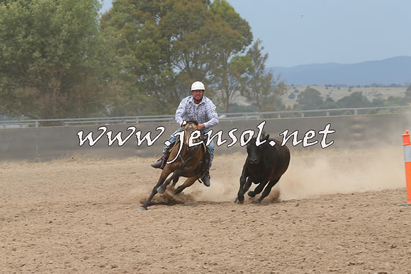 BraidwoodCampdraft2014_3028