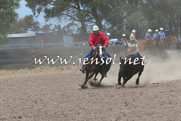 BraidwoodCampdraft2014_3070